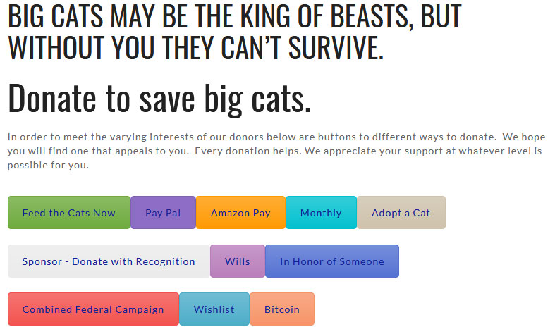 Netflixs Tiger King Villian, Carole Baskin at The Big Cat Rescue Accepts Crypto Donations
