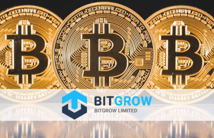 bitgrow-investments-limited Bitgrow Investment Limited