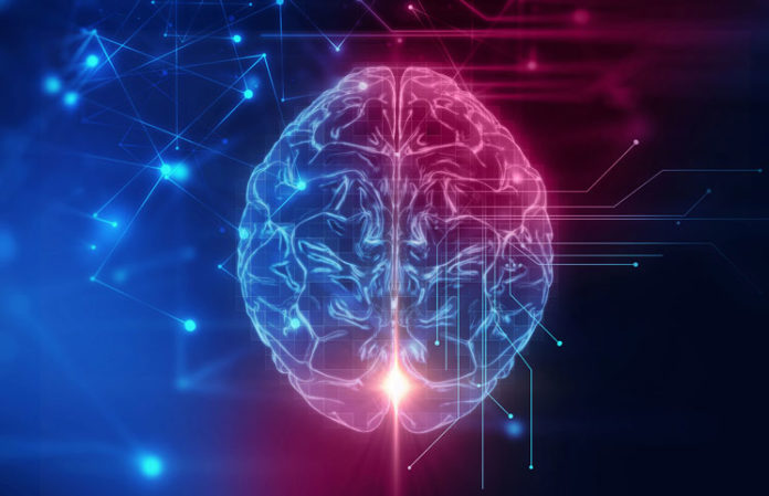 bitcoins-brain