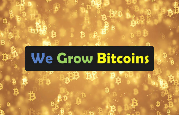 we-grow-bitcoins We Grow Bitcoins