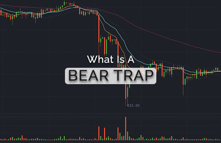 bear trap bitcoin