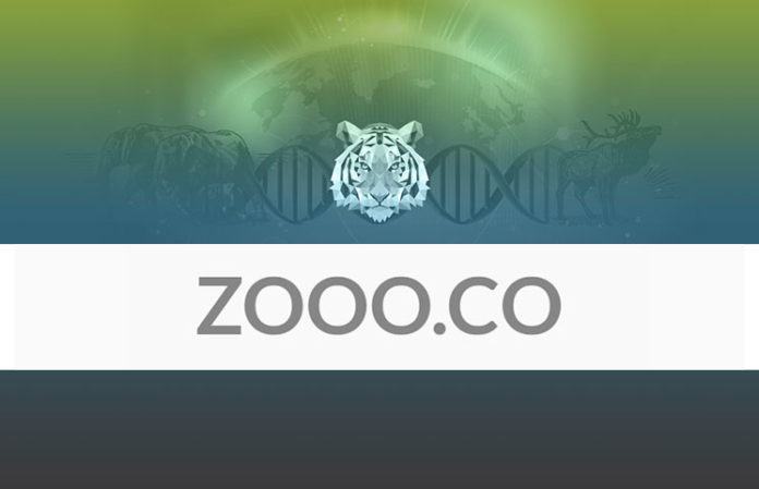Zooo.Co Zooo.Co