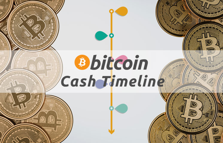 btc bitcoin cash exchange
