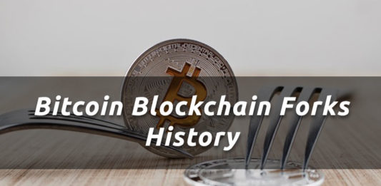 Bitcoin Blockchain Forks History