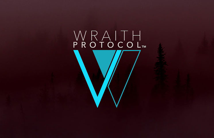 Verge Currency XVG Review – Wraith Protocol Secure Cryptocurrency?