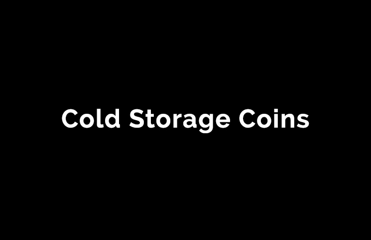 Cold Storage Coins Silver Copper Gold Minted Bitcoin Wallet