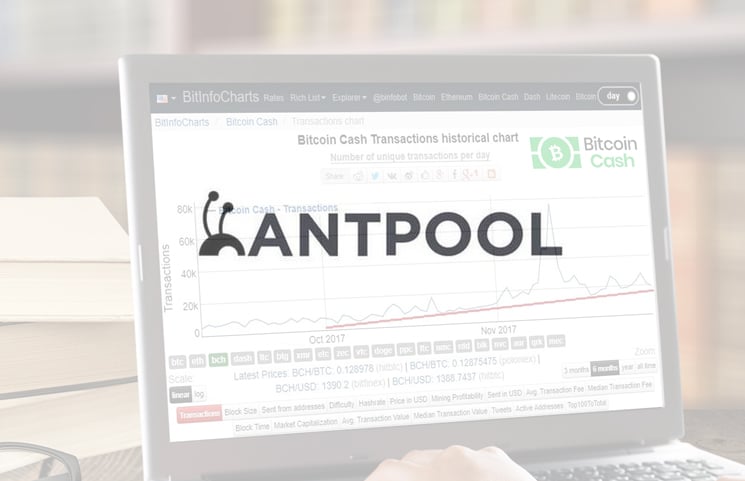 Antpool Begins Burning Bitcoin Cash Bch Network Fees Price Is - 