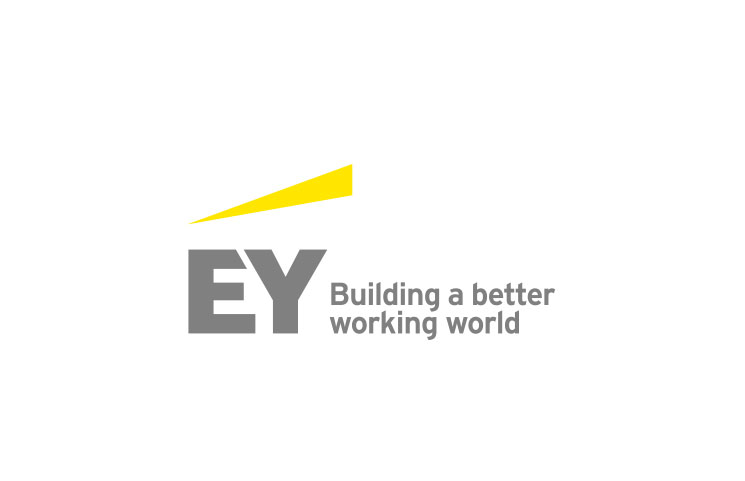 ey blockchain audit