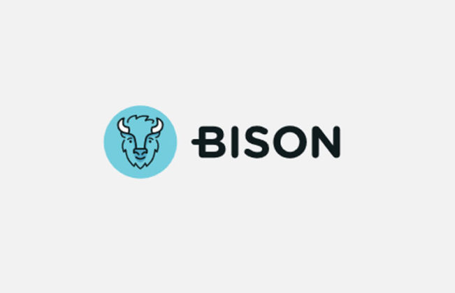 bison coin crypto