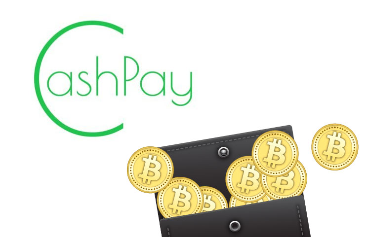 what wallets support bitcoin cash