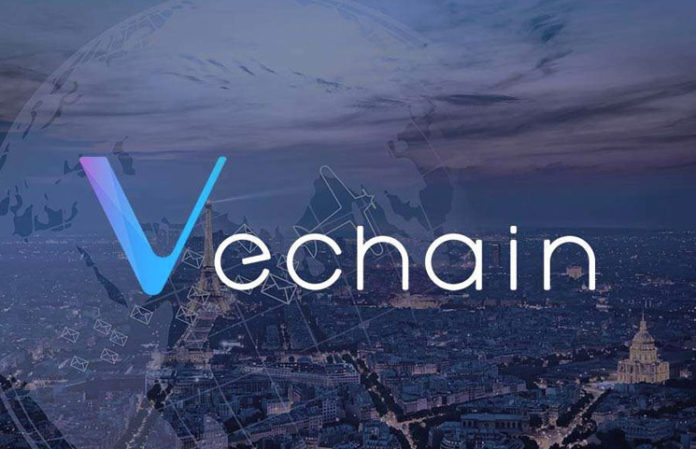 VeChainThor-Public-Testnet-Is-Now-Available-Excitement-Builds-For-Mainnet VeChainThor Public Testnet Is Now Available, Excitement Builds For Mainnet