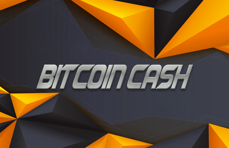 Bitcoin Cash Bch One Year Anniversary Is August 1 2018 Bchday - 