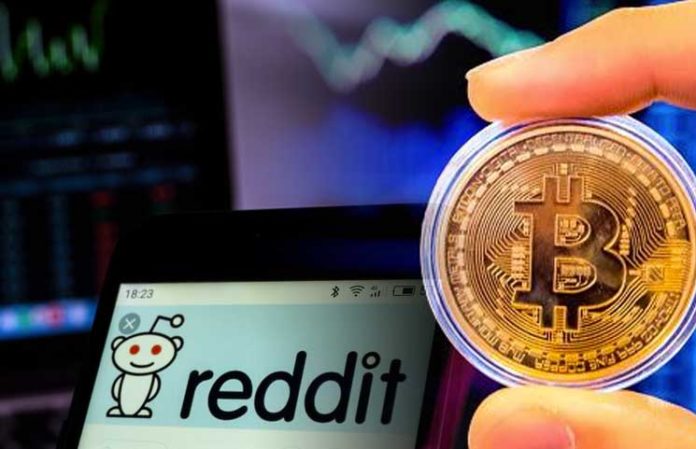 rise cryptocurrency reddit