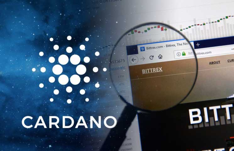 bittreo crypto