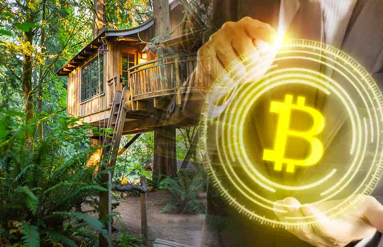 crypto millionaire treehouse