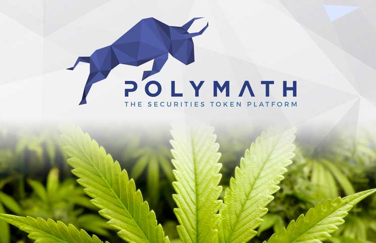 Polymath's First Private Security Token Investment is with