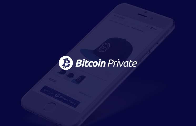 Accept Bitcoin Private Payments Convert Btcp Cryptocurrency Coins - 