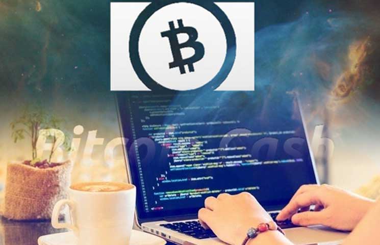 Active Bitcoin Abc Developer Affirms Future Bitcoin Cash Bch Fork - 