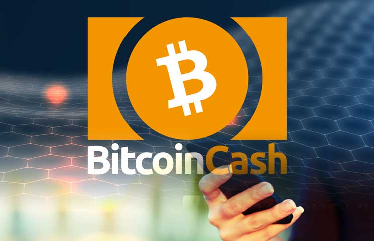 Analyzing 6 Of The Wealthiest Bitcoin Cash Wallet Bch Addresses - 
