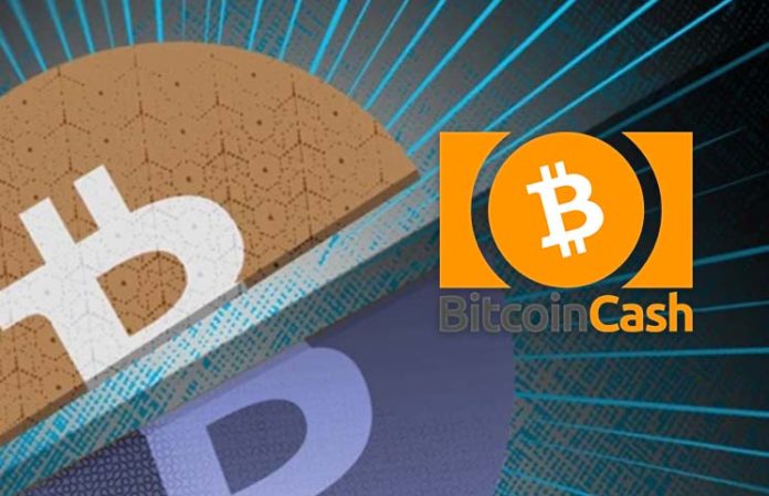 Magic Bitcoin India Bitcoin Cash Fork Free Coins Vigesima - 