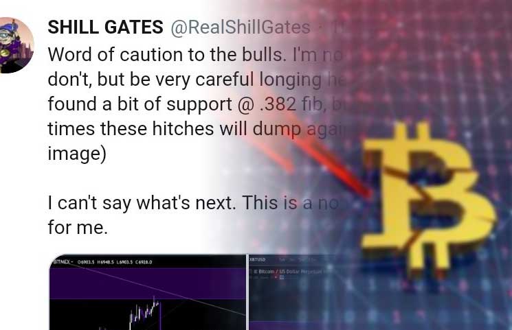 Crypto Twitter Shill Gates Bitcoin Bear Gang Accurately Predicts - 