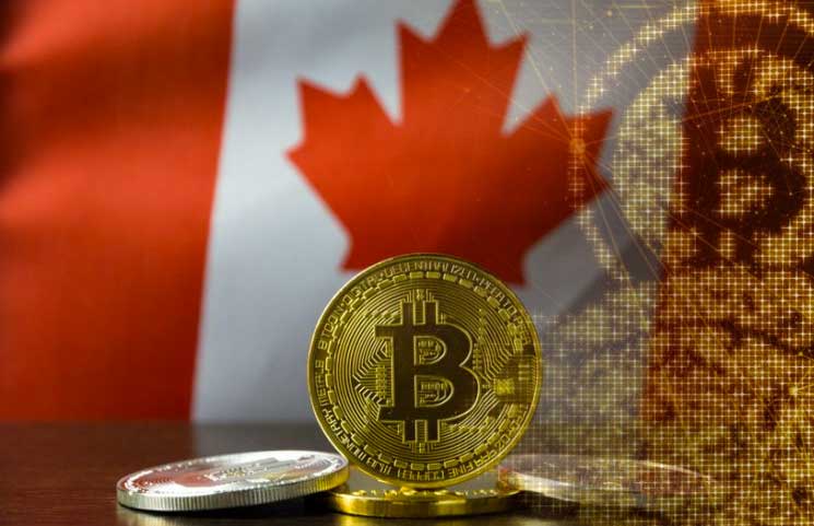 Crypto mutual fund canada top cryptocurrency predictions 2018