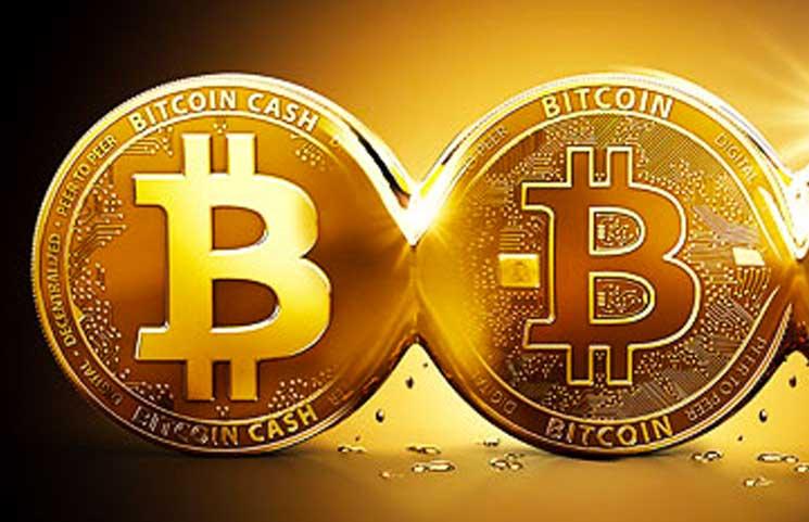 which has the longest chain bch or btc