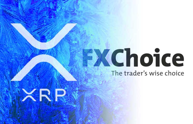 Belize Based Forex Broker Fx Choice Integrates Xrp Coin Support To - 