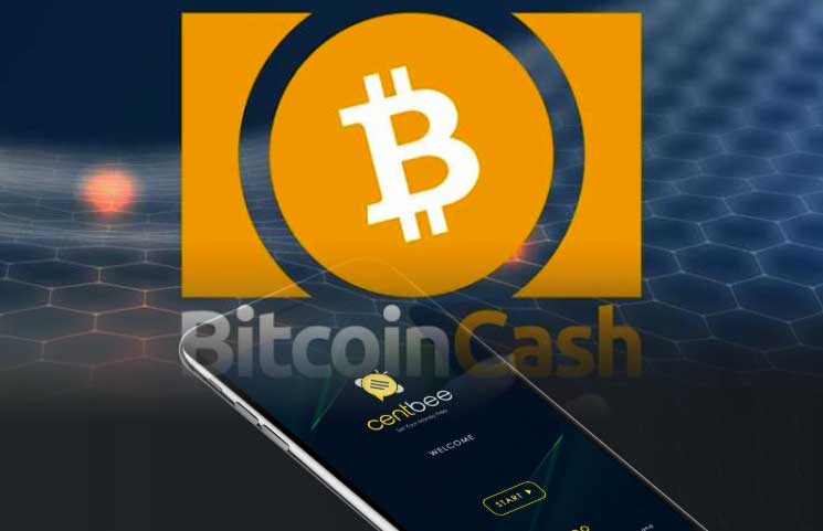 bch crypto wallet