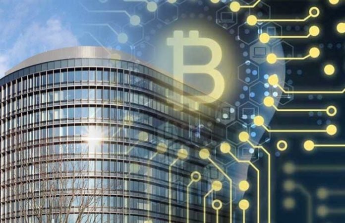 next top cryptocurrency