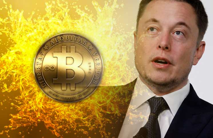Elon musk on crypto currency what is the best cryptocurrency to mine 2022