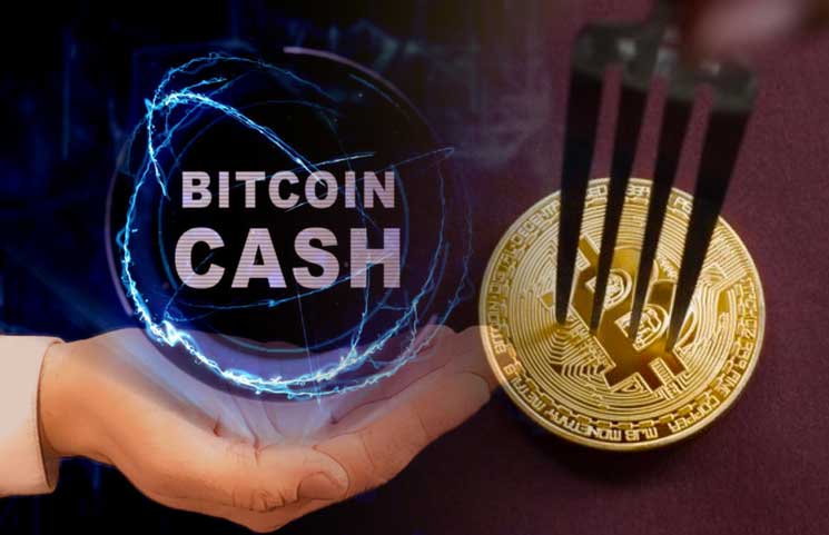 How long will it take to do bitcoin cash hard fork срок перевода биткоинов