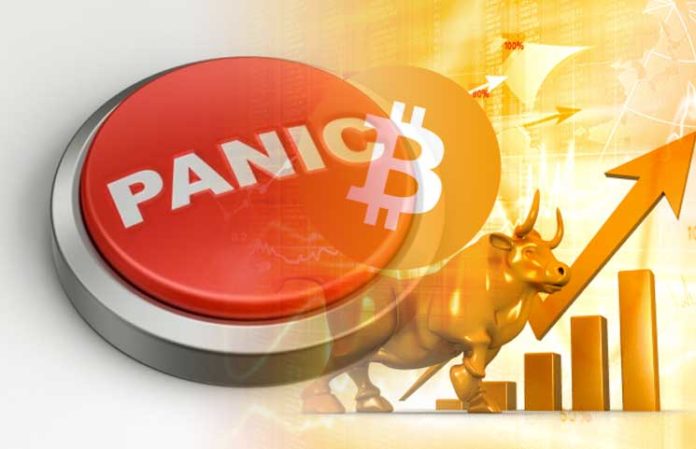 cryptocurrency when should to panic sell