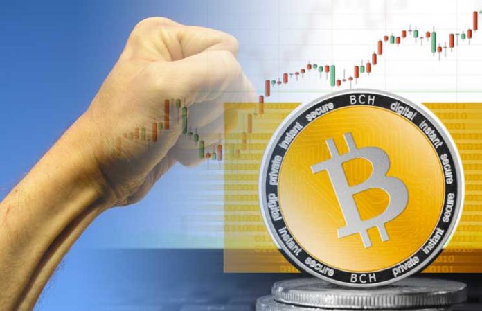 Bitcoin To Gbp Rate Bitcoin Cash Split In Ledger - 