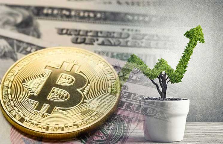 grow your bitcoins review