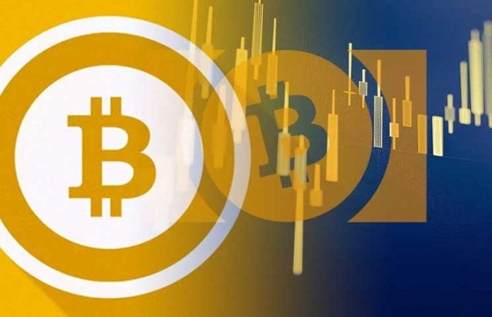 Current Hashing Power Bitcoin Versus Bitcoin Cash Bitcoin Address - 