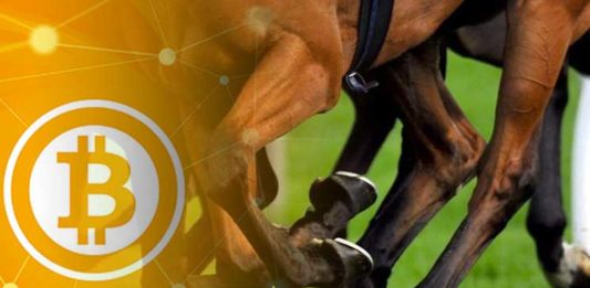 More Punters are Placing Bets with Bitcoin at Australias Melbourne Cup via 1xBit