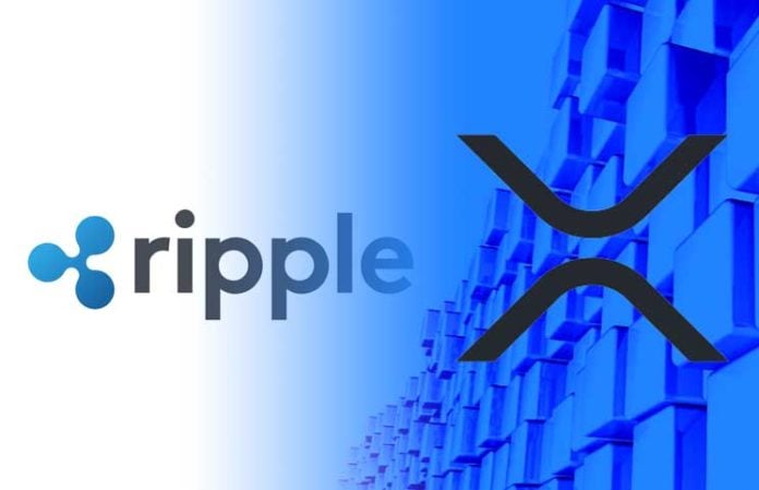 What Is Ripple. Everything You Need To Know