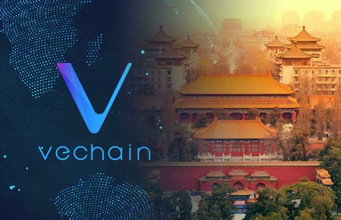 VeChain Sees Opportunities Galore At China International Import Expo 2018 VeChain Sees Opportunities Galore At China International Import Expo 2018