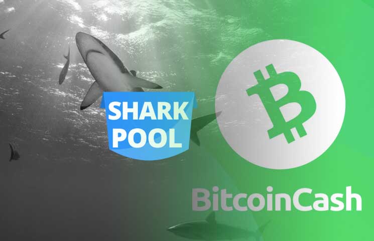 Anonymous Sharkpool Will Apparently Mine Altcoins Only To Dump Back - 