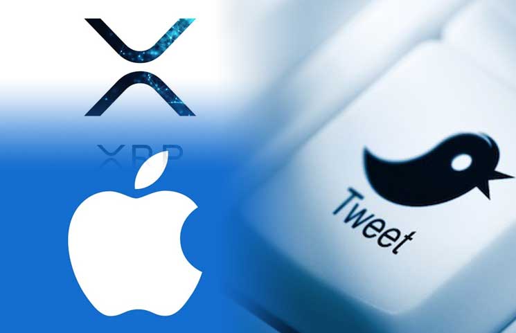 XRP Coin Price Surges Past $0.50 on Twitter Suggestion of ...