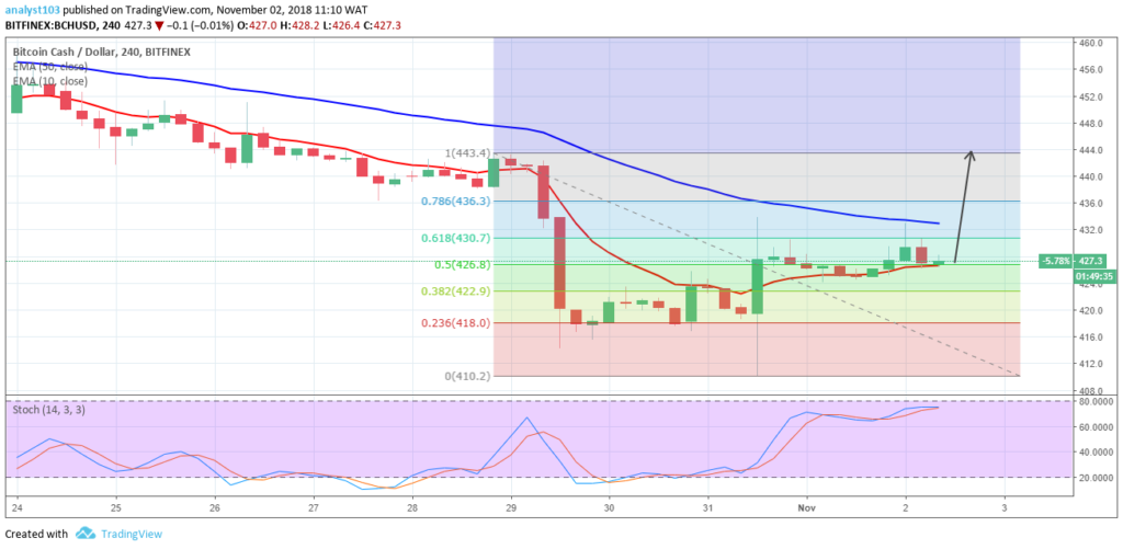 bch bitcoin cash forecast