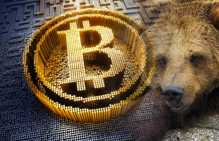 is bear market over crypto