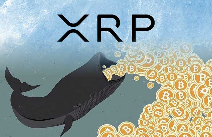 orca x crypto price