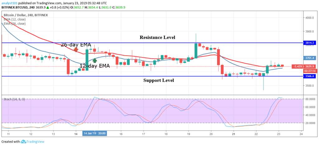 btc daily forcast