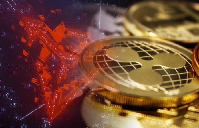 penny cryptocurrency market