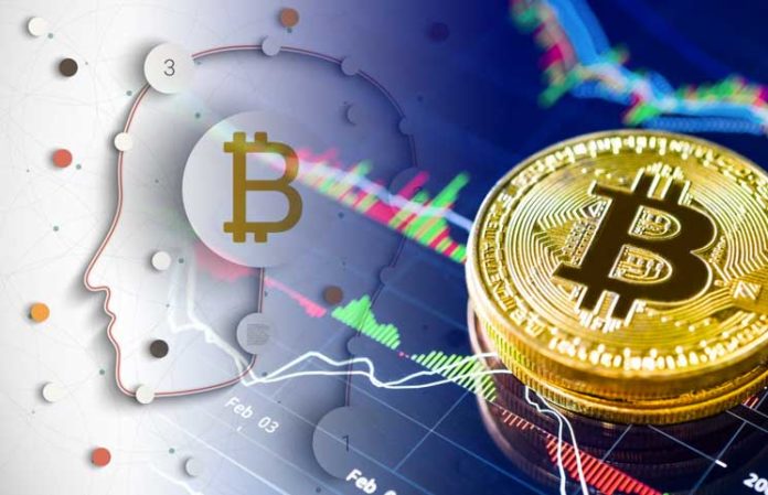 crypto trading risk management