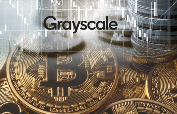 Grayscale Bitcoin Trust had millionaire inflows from institutional investors during the first half of 2020.