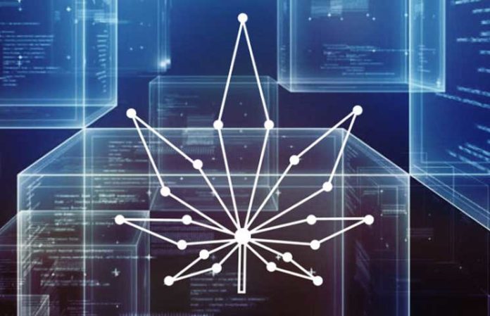 Heres-Why-Everyones-Talking-about-Blockchain-and-CBD Heres-Why-Everyones-Talking-about-Blockchain-and-CBD