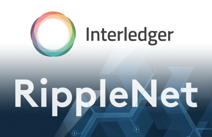 Takeshi Fujimaki : Ripple(XRP) Will Grow Unbelievable In Near Future